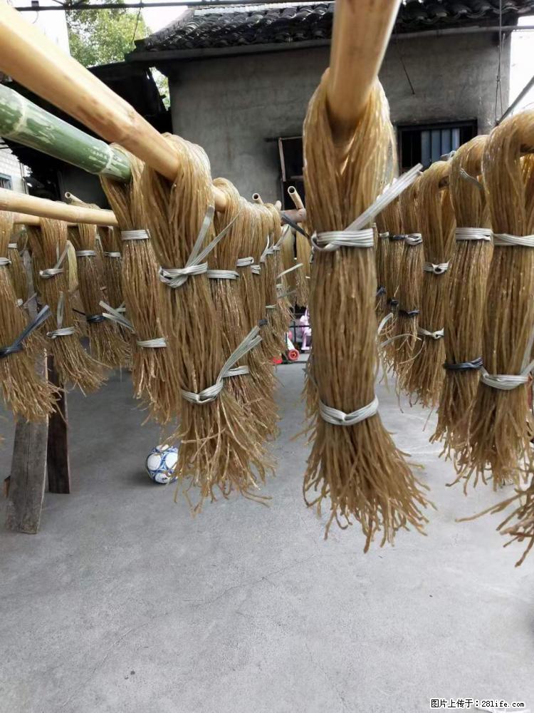 【灌阳正宗红薯粉】美女家里自己做的，干净卫生，假一赔十，价格合理，抢购电话：13737312895 - 美食天地 - 莆田生活社区 - 莆田28生活网 pt.28life.com