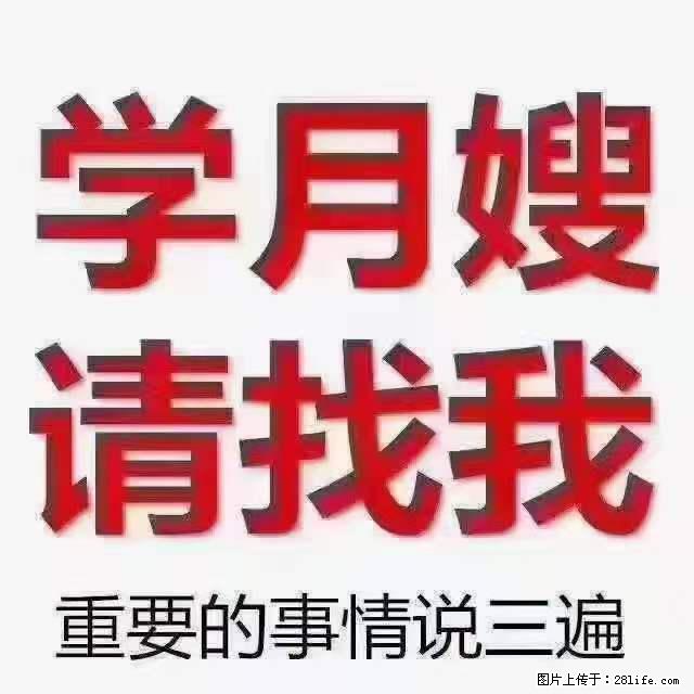 为什么要学习月嫂，育婴师？ - 新手上路 - 莆田生活社区 - 莆田28生活网 pt.28life.com