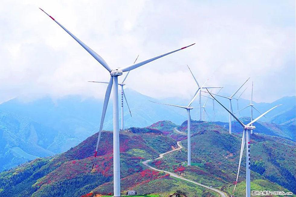 【春天，广西桂林灌阳县向您发出邀请！】春木界上映山红 - 游山玩水 - 莆田生活社区 - 莆田28生活网 pt.28life.com