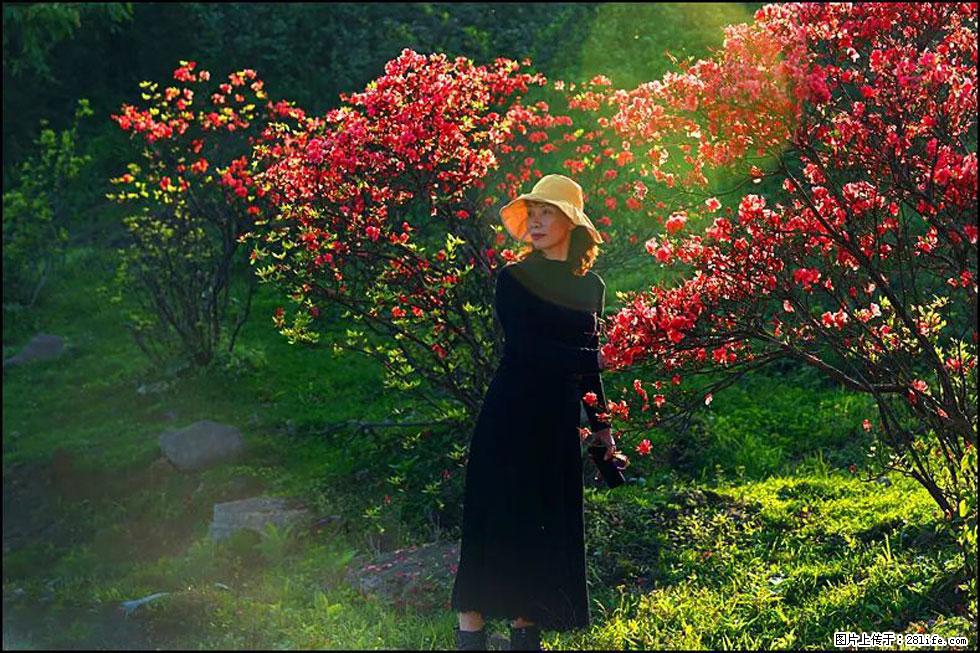 【春天，广西桂林灌阳县向您发出邀请！】春木界上映山红 - 游山玩水 - 莆田生活社区 - 莆田28生活网 pt.28life.com