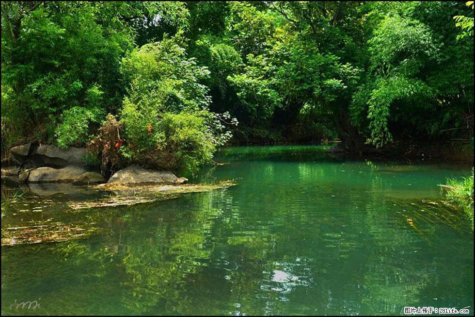 【春天，广西桂林灌阳县向您发出邀请！】如梦似幻莲溪庐 - 游山玩水 - 莆田生活社区 - 莆田28生活网 pt.28life.com