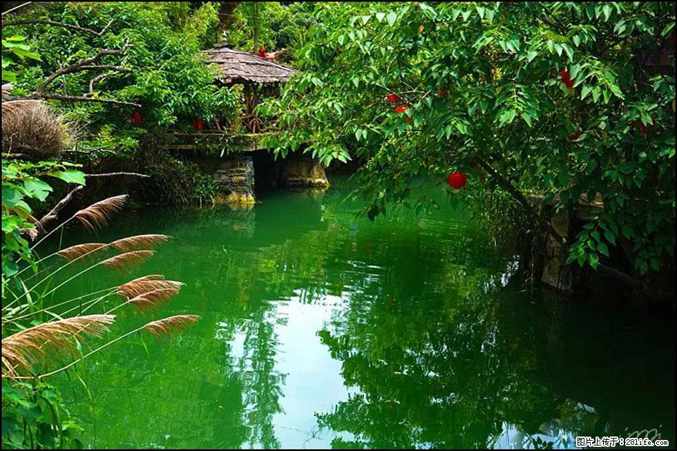 【春天，广西桂林灌阳县向您发出邀请！】如梦似幻莲溪庐 - 游山玩水 - 莆田生活社区 - 莆田28生活网 pt.28life.com