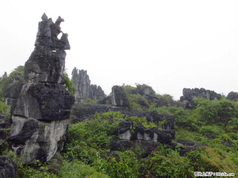 桂林旅游名城景点：灌阳文市石林 - 游山玩水 - 莆田生活社区 - 莆田28生活网 pt.28life.com