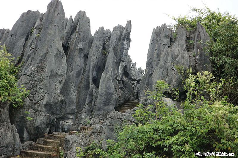 桂林旅游名城景点：灌阳文市石林 - 游山玩水 - 莆田生活社区 - 莆田28生活网 pt.28life.com