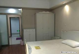 万达精装58平米配田园家电出租 - 莆田28生活网 pt.28life.com