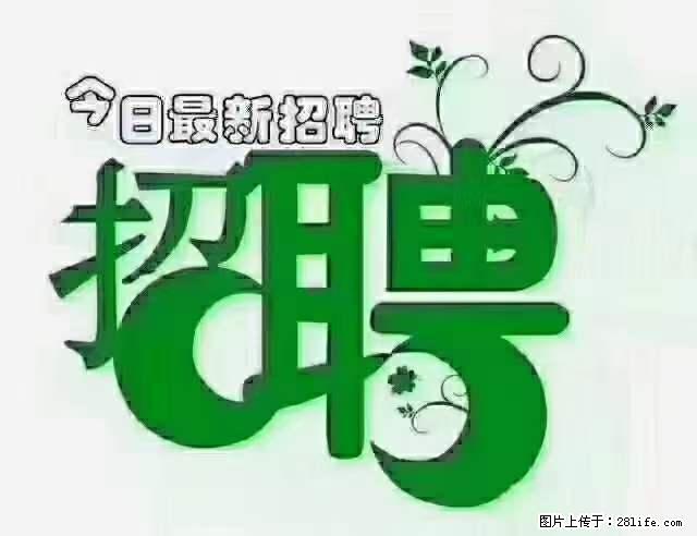 上海青浦区招仓管 - 职场交流 - 莆田生活社区 - 莆田28生活网 pt.28life.com