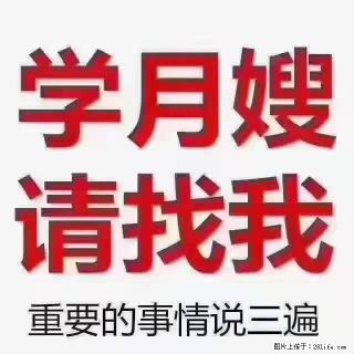 【招聘】月嫂，上海徐汇区 - 莆田28生活网 pt.28life.com