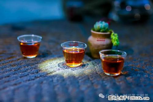 时间果百年古树2025年春红茶 - 购物交流 - 莆田生活社区 - 莆田28生活网 pt.28life.com