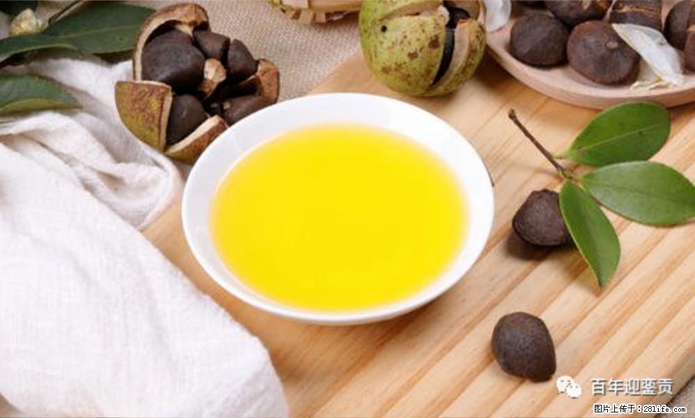 揭秘茶油的5大核心营养成分！被称为人体健康的“守护盾”！ - 莆田生活资讯 - 莆田28生活网 pt.28life.com