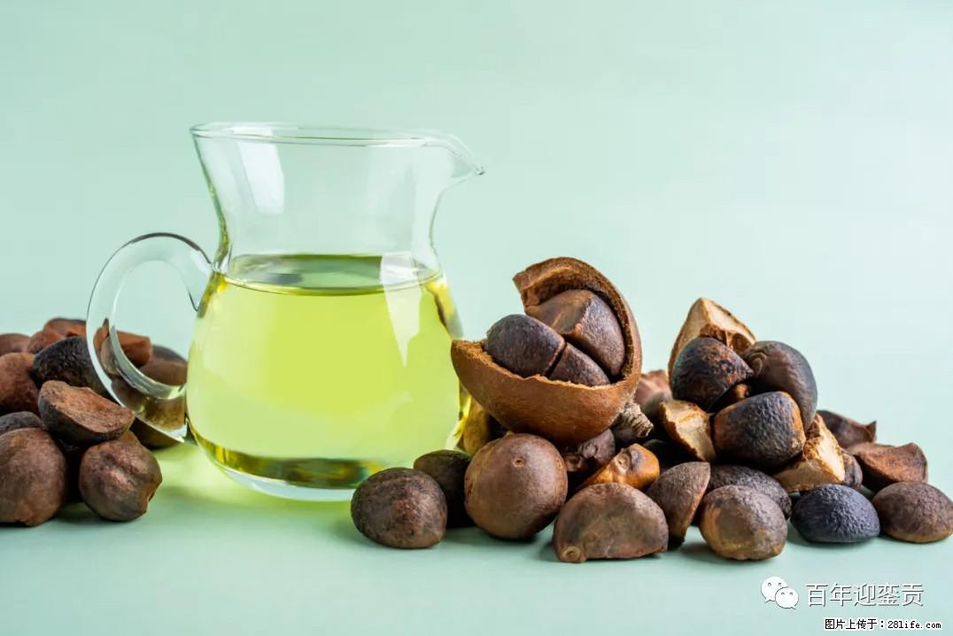 世界没有真相，只有认知，最好的食用油是中国的山茶油！ - 莆田生活资讯 - 莆田28生活网 pt.28life.com