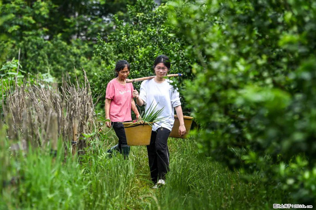全网追的“扁担女孩”，找了一份暑假工，时薪12元 - 莆田生活资讯 - 莆田28生活网 pt.28life.com