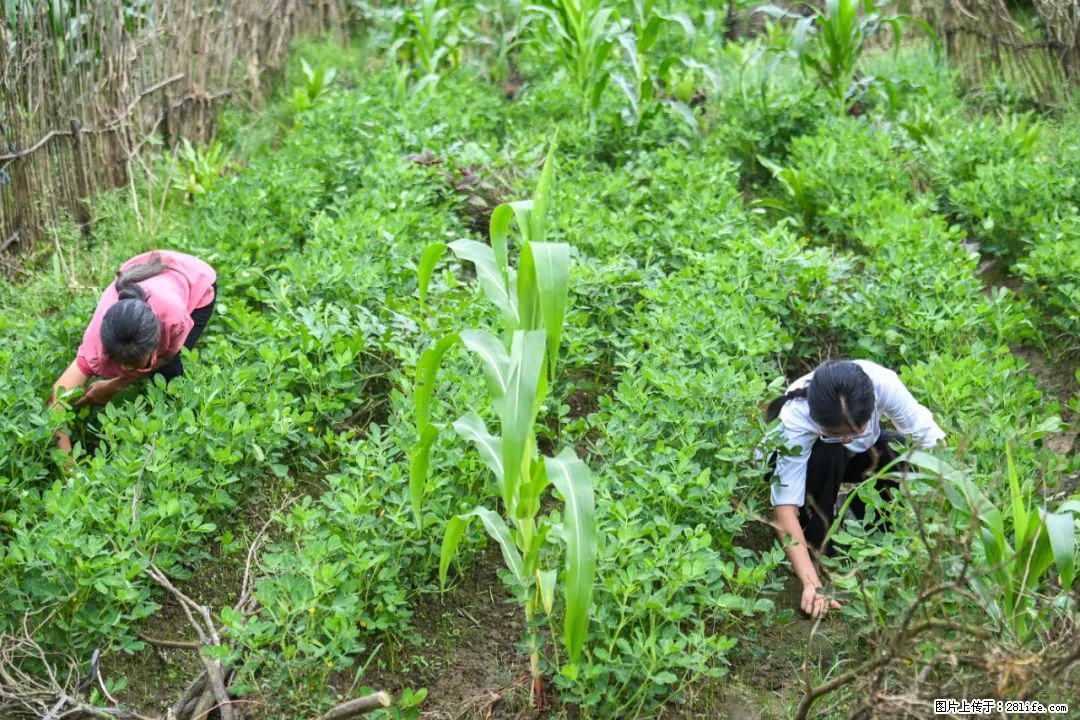 全网追的“扁担女孩”，找了一份暑假工，时薪12元 - 莆田生活资讯 - 莆田28生活网 pt.28life.com