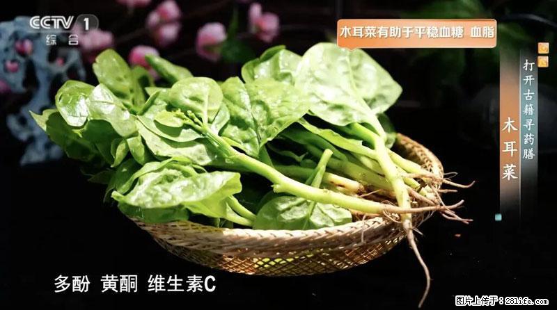 比牛奶补钙还厉害!凉血解毒、稳血糖...这菜冬天必吃,很多人却当草 - 莆田生活资讯 - 莆田28生活网 pt.28life.com