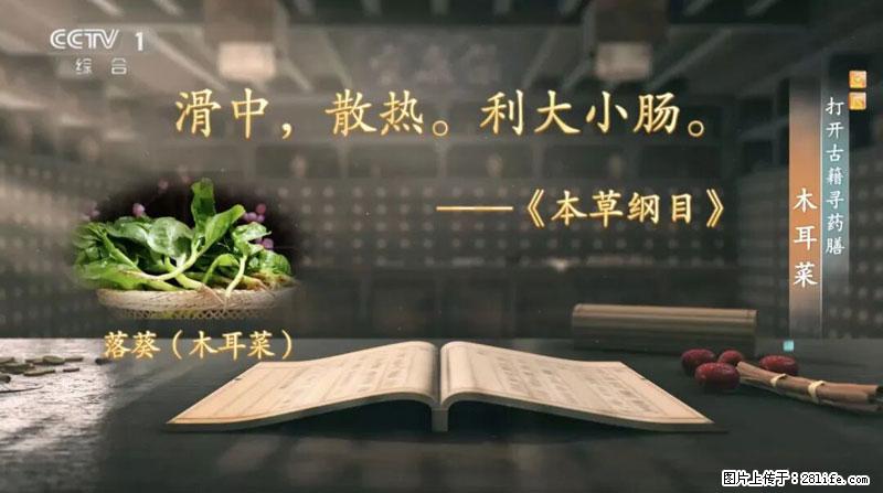 比牛奶补钙还厉害!凉血解毒、稳血糖...这菜冬天必吃,很多人却当草 - 莆田生活资讯 - 莆田28生活网 pt.28life.com