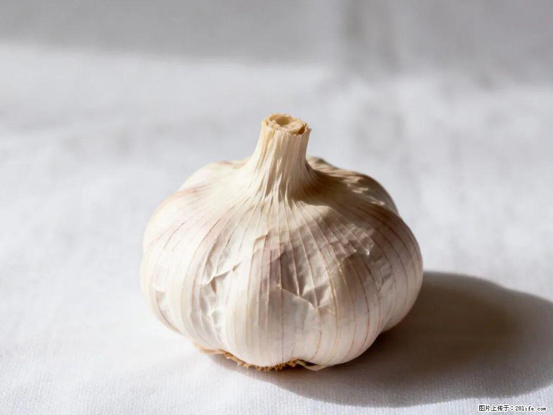 关于大蒜，除了“天然抗生素”，这4个谣言更该警惕! - 莆田生活资讯 - 莆田28生活网 pt.28life.com