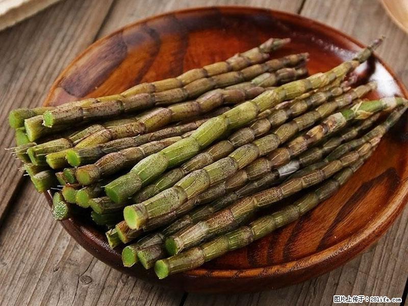 铁皮石斛的作用与功能主治 - 莆田生活资讯 - 莆田28生活网 pt.28life.com