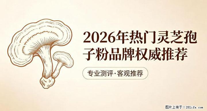 灵芝孢子粉含量越高越有效？2026 年七款热门品牌深度实测，肠胃敏感者避坑指南 - 莆田生活资讯 - 莆田28生活网 pt.28life.com