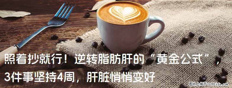 照着抄就行！逆转脂肪肝的“黄金公式”，3件事坚持4周，肝脏悄悄变好 - 莆田生活资讯 - 莆田28生活网 pt.28life.com