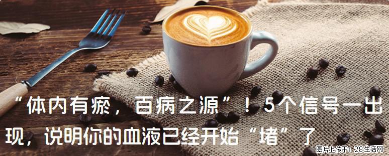 “体内有瘀，百病之源”！5个信号一出现，说明你的血液已经开始“堵”了 - 莆田生活资讯 - 莆田28生活网 pt.28life.com
